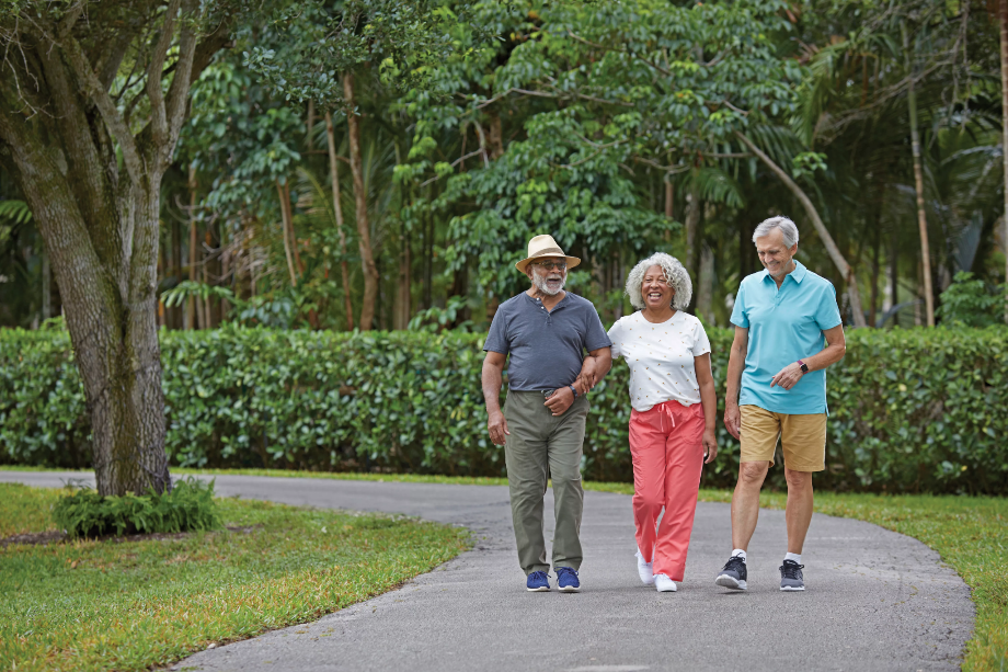 Seniors First – Safety, Transit, and Respect